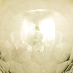 Golden Shadow Transparent