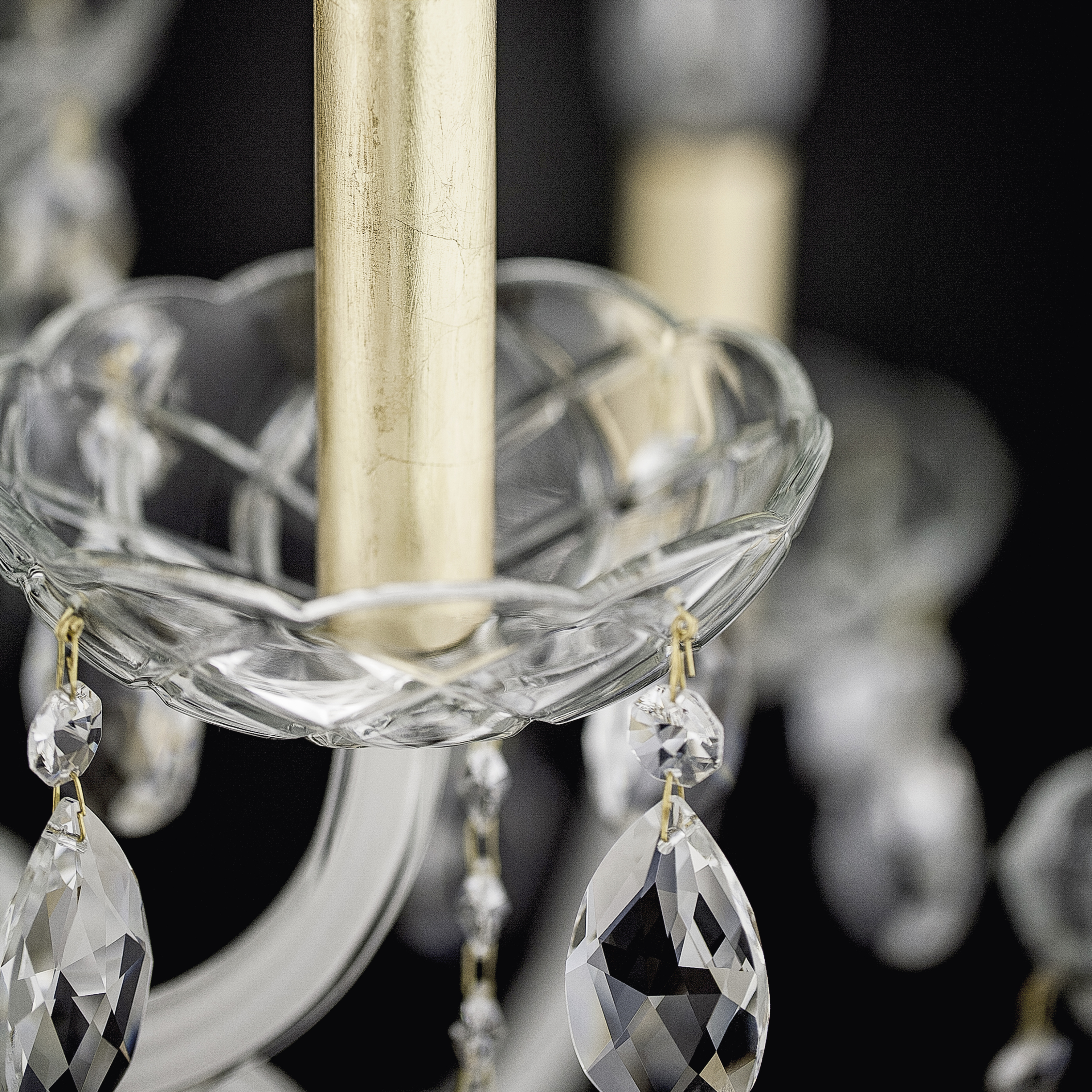 104_CH_15_gold_leaf_white_macro2_Olympia_GrandoLuce 104 CH 15 gold leaf white macro2 Olympia GrandoLuce